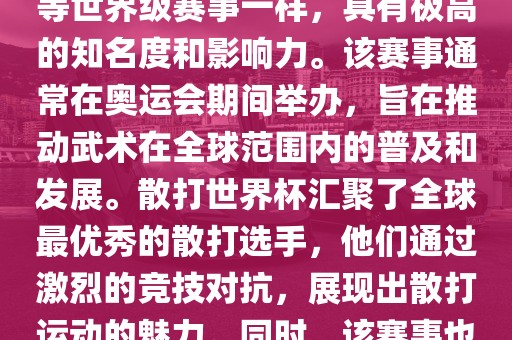 散打世界杯是世界武术散打最高水平的赛事之一，与奥运会等世界级赛事一样，具有极高的知名度和影响力。该赛事通常在奥运会期间举办，旨在推动武术在全球范围内的普及和发展。散打世界杯汇聚了全球最优秀的散打选手，他们通过激烈的竞技对抗，展现出散打运动的魅力。同时，该赛事也是推动不同国家和地区之间文化交流的重要平台。