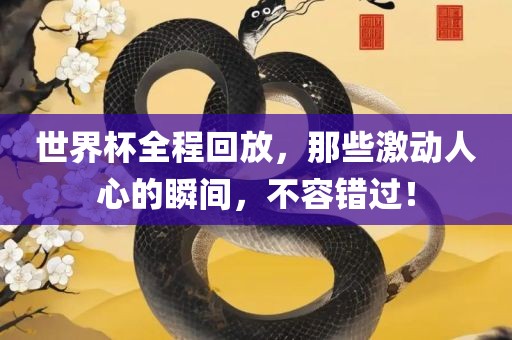 世界杯全程回放，那些激动人心的瞬间，不容错过！