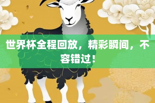 世界杯全程回放，精彩瞬间，不容错过！