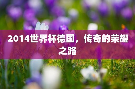 2014世界杯德国，传奇的荣耀之路