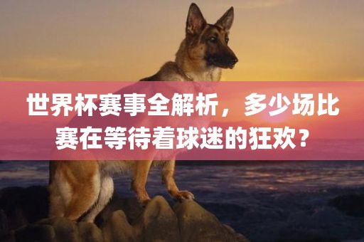 世界杯赛事全解析，多少场比赛在等待着球迷的狂欢？