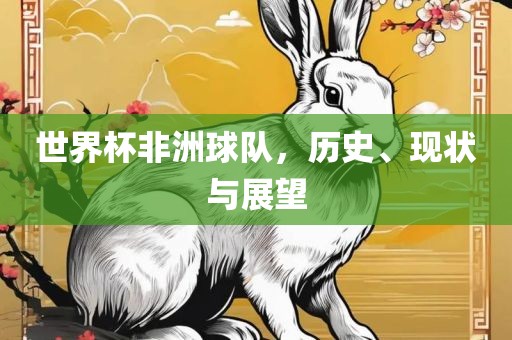 世界杯非洲球队，历史、现状与展望