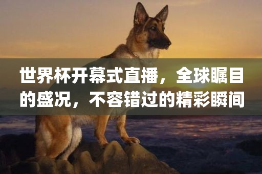 世界杯开幕式直播，全球瞩目的盛况，不容错过的精彩瞬间