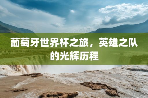 葡萄牙世界杯之旅，英雄之队的光辉历程
