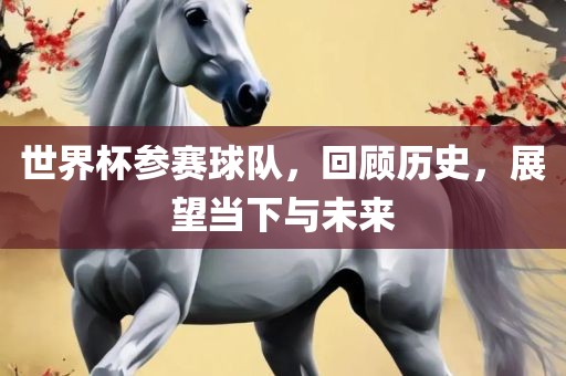 世界杯参赛球队，回顾历史，展望当下与未来
