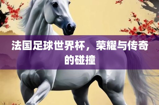 法国足球世界杯，荣耀与传奇的碰撞