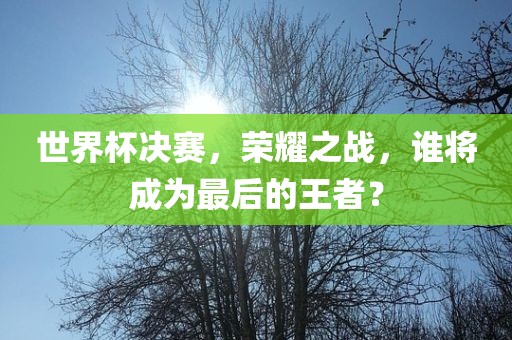 世界杯决赛，荣耀之战，谁将成为最后的王者？
