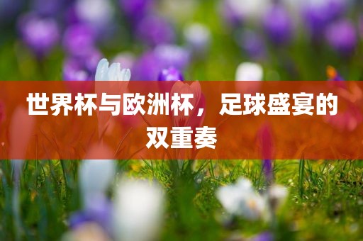 世界杯与欧洲杯，足球盛宴的双重奏