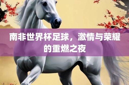 南非世界杯足球，激情与荣耀的重燃之夜