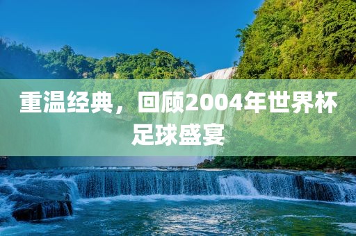 重温经典，回顾2004年世界杯足球盛宴
