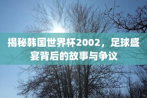 揭秘韩国世界杯2002，足球盛宴背后的故事与争议