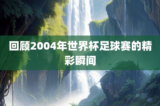 回顾2004年世界杯足球赛的精彩瞬间