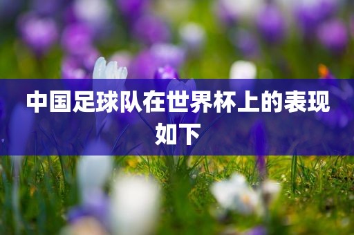 中国足球队在世界杯上的表现如下漯河市盈旭机械设备有限公司