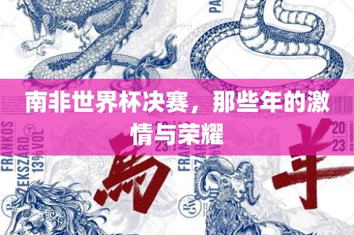 南非世界杯决赛，那些年的激情与荣耀