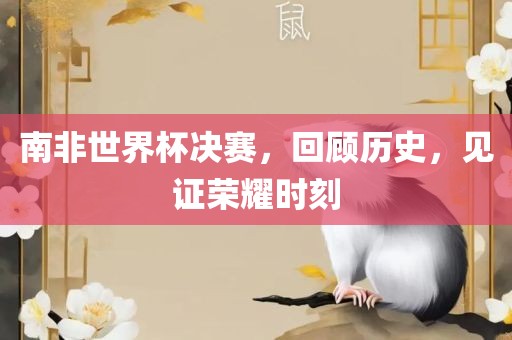 南非世界杯决赛，回顾历史，见证荣耀时刻
