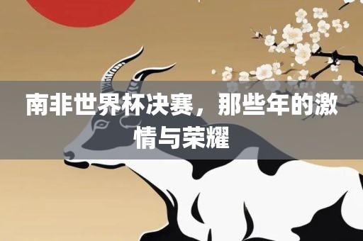 南非世界杯决赛，那些年的激情与荣耀
