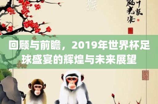 回顾与前瞻，2019年世界杯足球盛宴的辉煌与未来展望