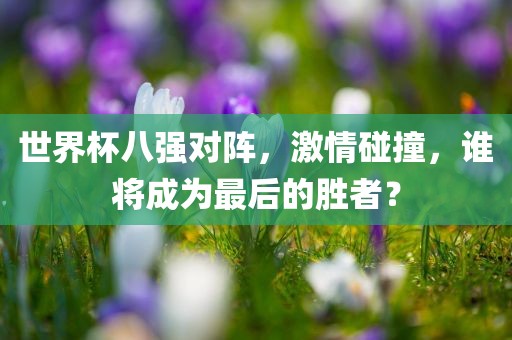 世界杯八强对阵，激情碰撞，谁将成为最后的胜者？