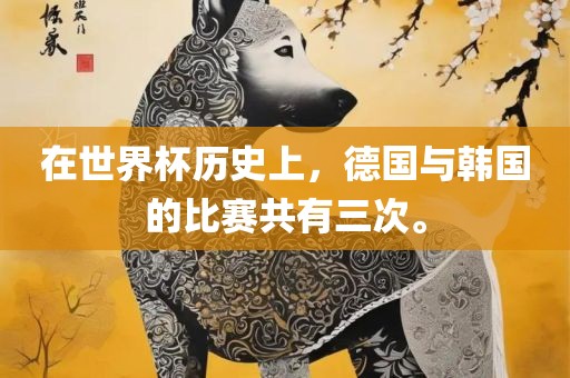 在世界杯历史上，德国与韩国的比赛共有三次。