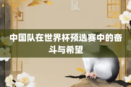 中国队在世界杯预选赛中的奋斗与希望