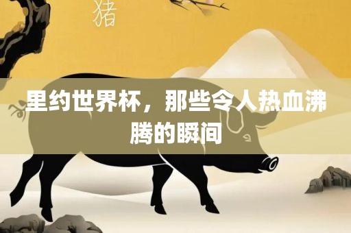 里漯河市盈旭机械设备有限公司约世界杯，那些令人热血沸腾的瞬间