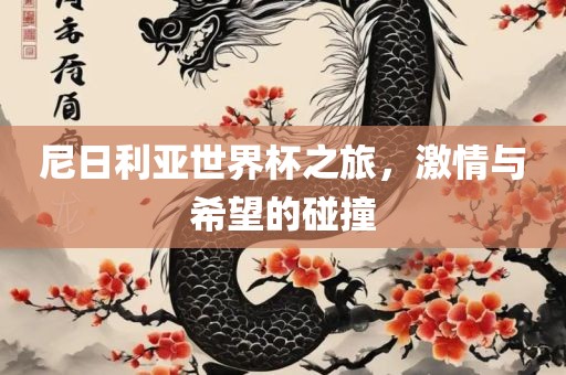 尼日利亚世界杯之旅，激情与希望的碰漯河市盈旭机械设备有限公司撞