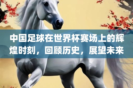 中国足球在世界杯赛场上的辉煌时刻，回顾历史，展望未来