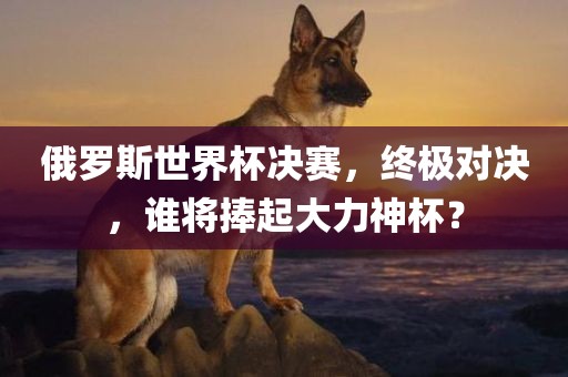 俄罗斯世界杯决赛，终极对决，谁将捧起大力神杯？