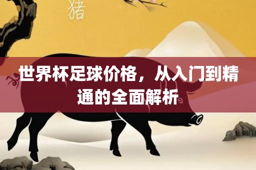 世界杯足球价格，从入门到精通的全面解析