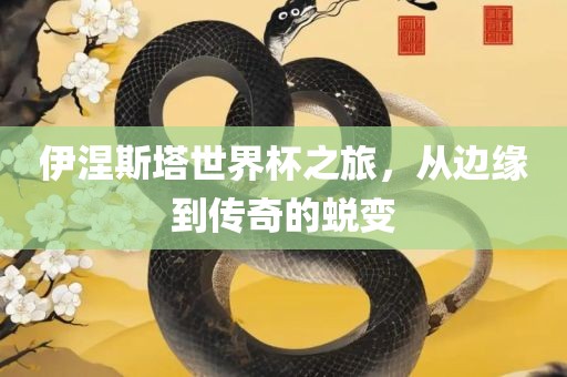 伊涅斯塔世界杯之旅，从边缘到传奇的蜕变