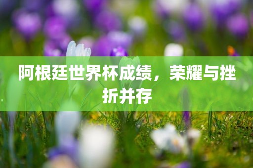 阿根廷世界杯成绩，荣耀与挫折并存