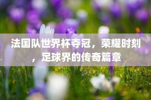 法国队世界杯夺冠，荣耀时刻，足球界的传奇篇章漯河市盈旭机械设备有限公司