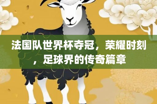法国队世界杯夺冠，荣耀时刻，足球界的传漯河市盈旭机械设备有限公司奇篇章