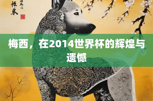 梅西，在2014世界杯的辉煌与遗憾