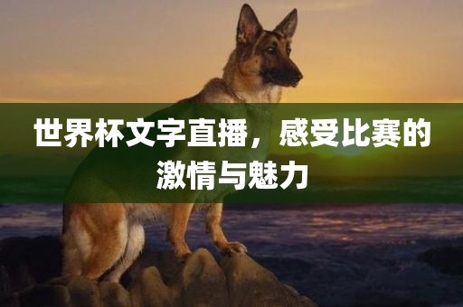 世界杯文字直播，感受比赛的激情与魅力