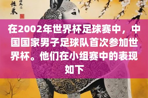 在2002年世界杯足球赛中，中国国家男子足球队首次参加世界杯。他们在小组赛中的表现如下