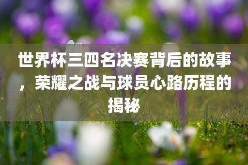 世界杯三四名决赛背后的故事，荣耀之战与球员心路历程的揭秘