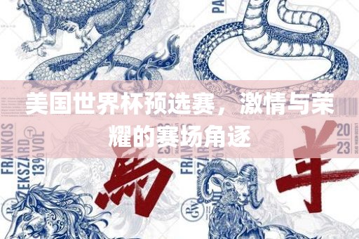 美国世界杯预选赛，激情与荣耀的赛场角逐
