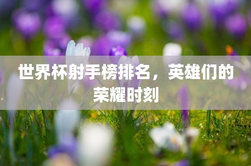 世界杯射手榜排名，英雄们的荣耀时刻