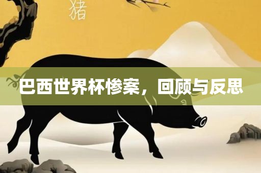 巴西世界杯惨案，回顾与反思