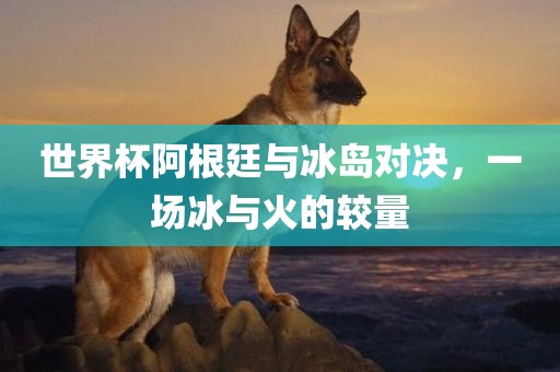 世界杯阿根廷与冰岛对决，一场冰与火的较量