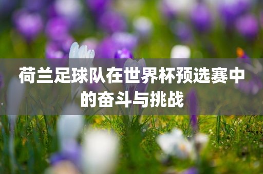 荷兰足球队在世界杯预选赛中的奋斗与挑战
