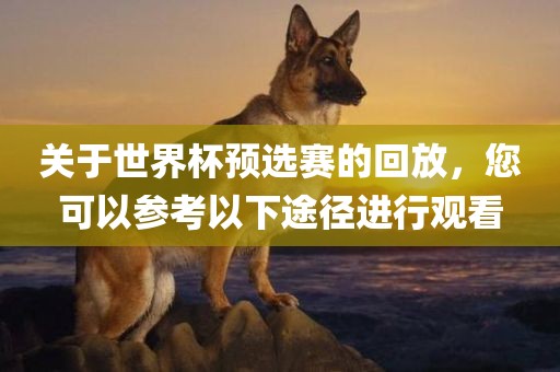 关于世界杯预选赛的回放，您可以参考以下途径进行观看