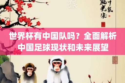世界杯有中国队吗？全面解析中国足球现状和未来展望