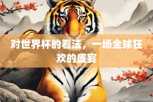 对世界杯的看法，一场全球狂欢的盛宴