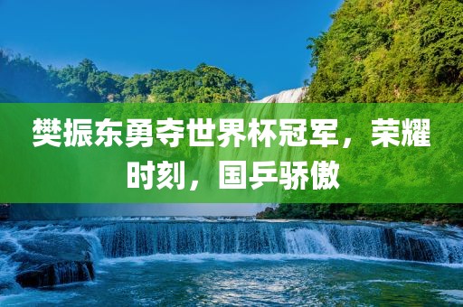 樊振东勇夺世界杯冠军，荣耀时刻，国乒骄傲