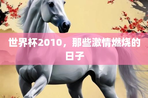 世界杯2010，那些激情燃烧的日子