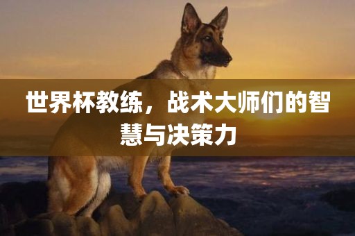 世界杯教练，战术大师们的智慧与决策力