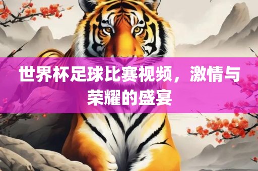 世界杯足球比赛视频，激情与荣耀的盛宴