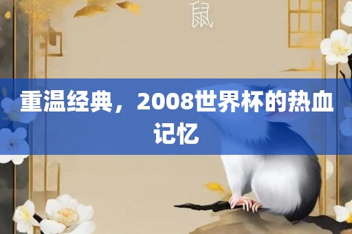 重温经典，2008世界杯的热血记忆